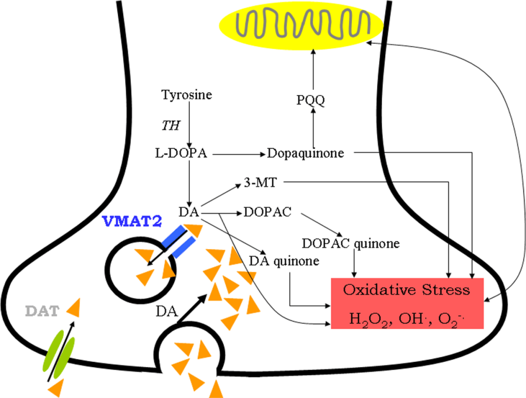 http://journals.plos.org/plosone/article/figure/image?size=large&id=info:doi/10.1371/journal.pone.0002444.g002