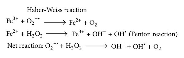The Haber-Weiss Reaction and Fenton reaction for hydroxyl free radical generation.