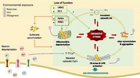 An external file that holds a picture, illustration, etc.
Object name is 13041_2017_340_Fig1_HTML.jpg